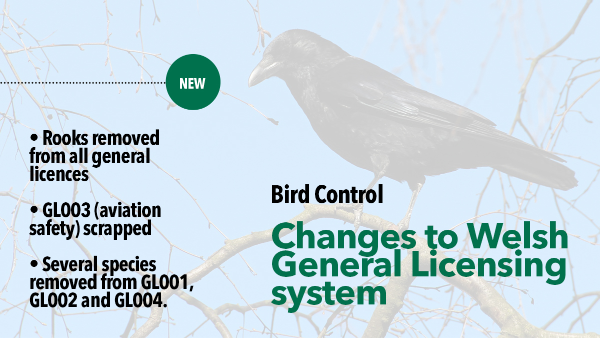 Wales Bird Control Licences Wales Bird Control Licences